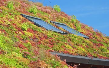 Dunholme living roof systems