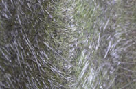 Dunholme fibreglass roof work